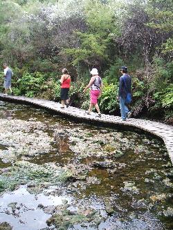 Pupu Springs